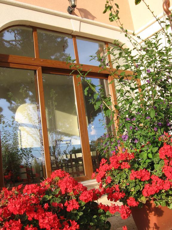 Guest House Caterina โปเรช ภายนอก รูปภาพ